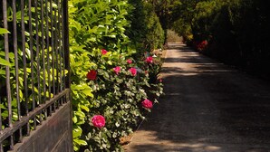 Ein Weg, der von einem Metallzaun und üppigem Grün mit rosa Blüten gesäumt wird.