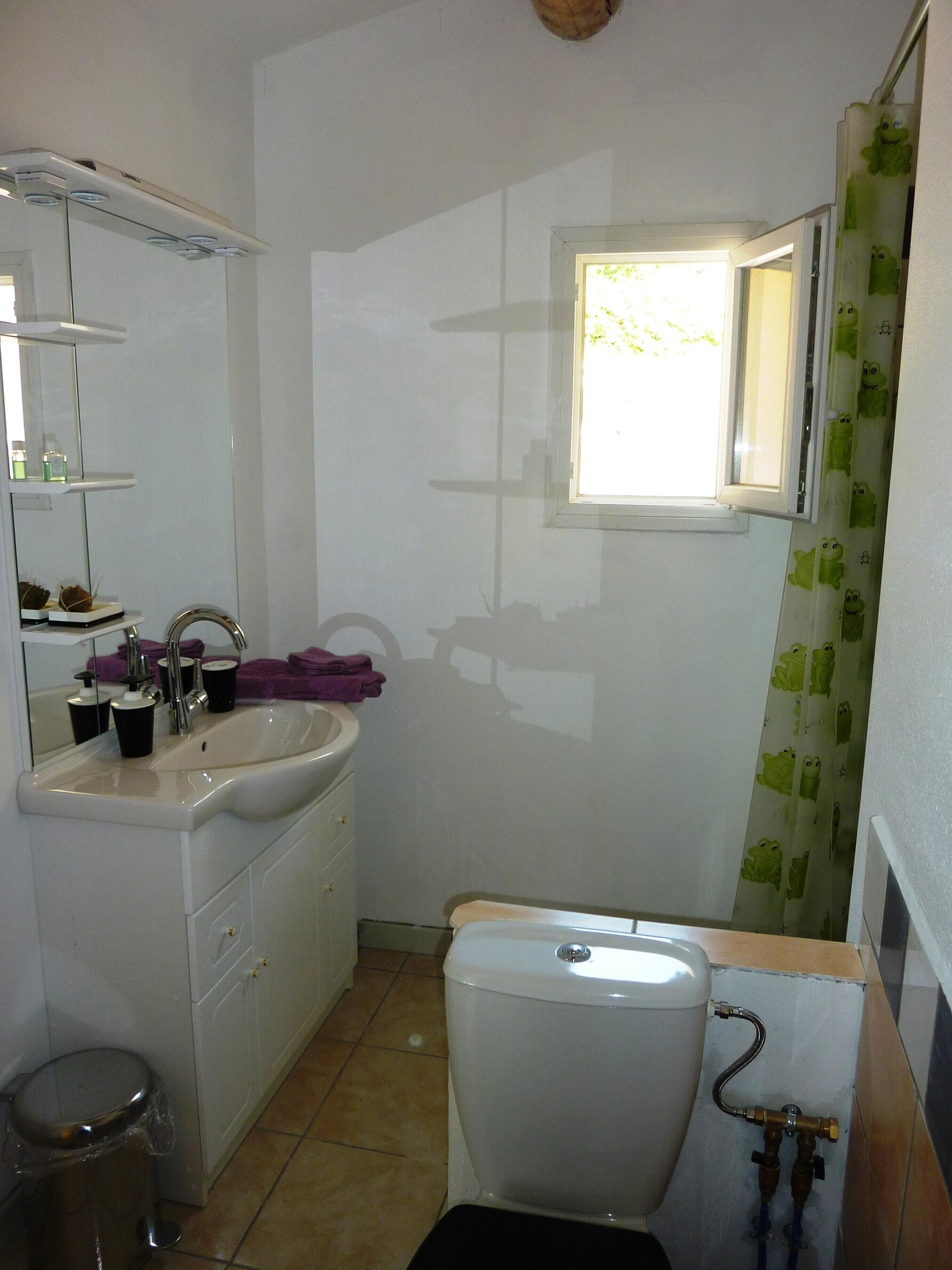 Un bagno piccolo con il water, un lavandino e uno specchio. Una finestra offre vista sul verde circostante.