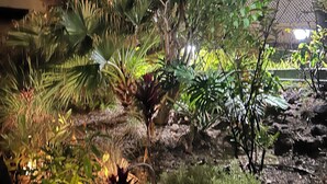 A nighttime garden with various plants and a stone wall. - Waterfront villa with swimming pool. Exceptional view (saline les bains)