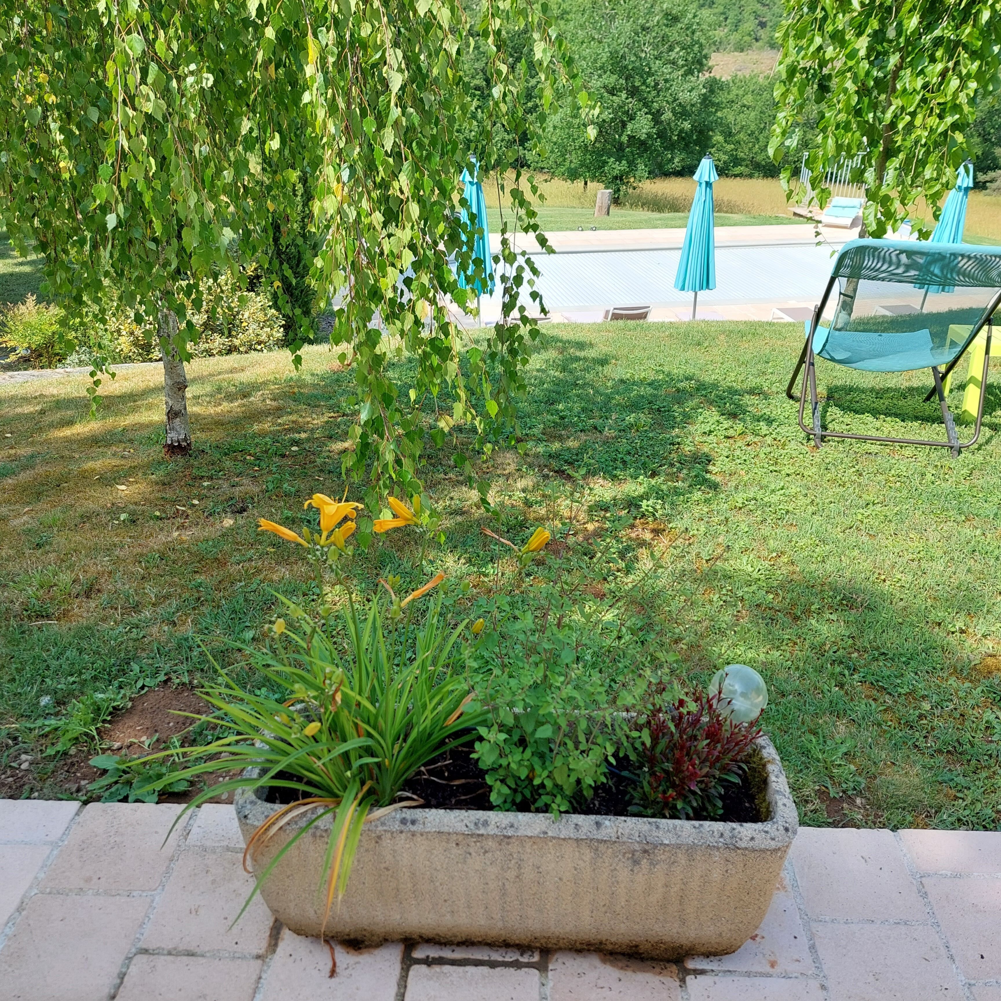 Un jardín con una jardinera de hormigón con plantas, un césped y una sombrilla azul al fondo.