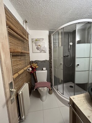 Shower, hair dryer, towels, soap - Gite Capuchin City Centre selestat Alsace (Sélestat)