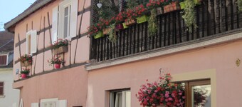 Gite Capuchin City Centre Sele Alsace