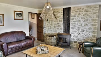 TV connectée, cheminée, livres, espaces bureaux