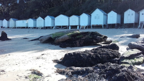 Una hilera de cabañas blancas en la playa, con arena y rocas al frente.