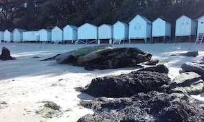 Beach nearby, sun loungers