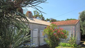 Une petite maison avec un toit en tuiles, un jardin agrémenté d’un arbuste en fleurs et un palmier au premier plan.