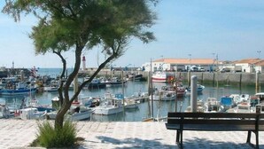 Un port de plaisance avec des bateaux amarrés, un banc et un arbre au premier plan.
