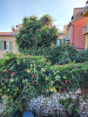 Dettaglio esterni