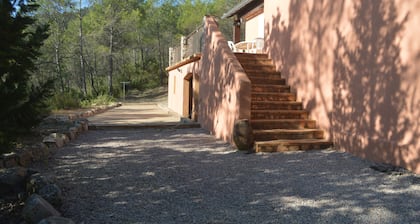 Omakotitalo, jossa on yhteinen uima-allas ja kesäkeittiö.