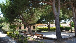 Un parco con panchine e alberi.
