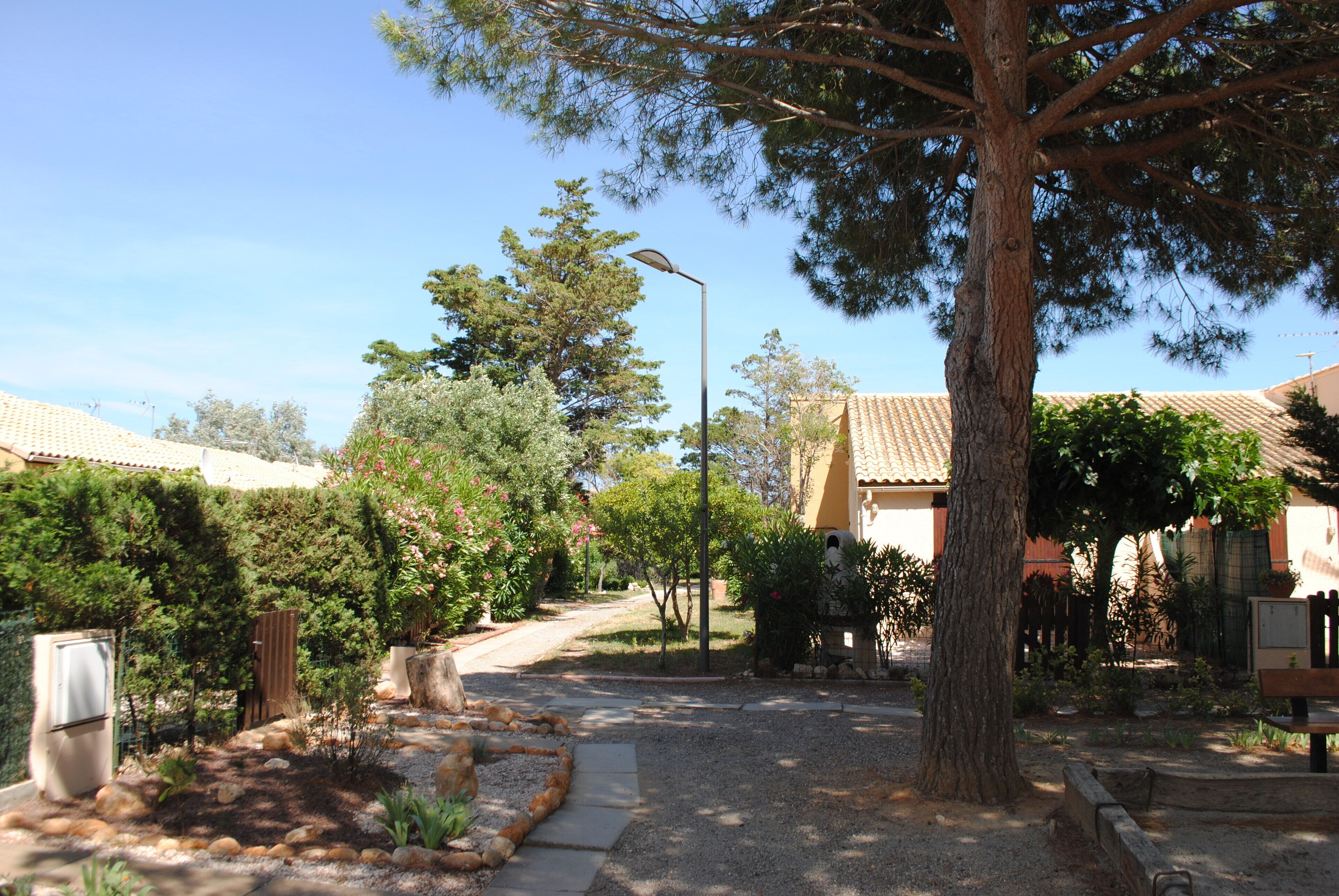 A residential street with houses, a tree-lined path, and a street lamp.