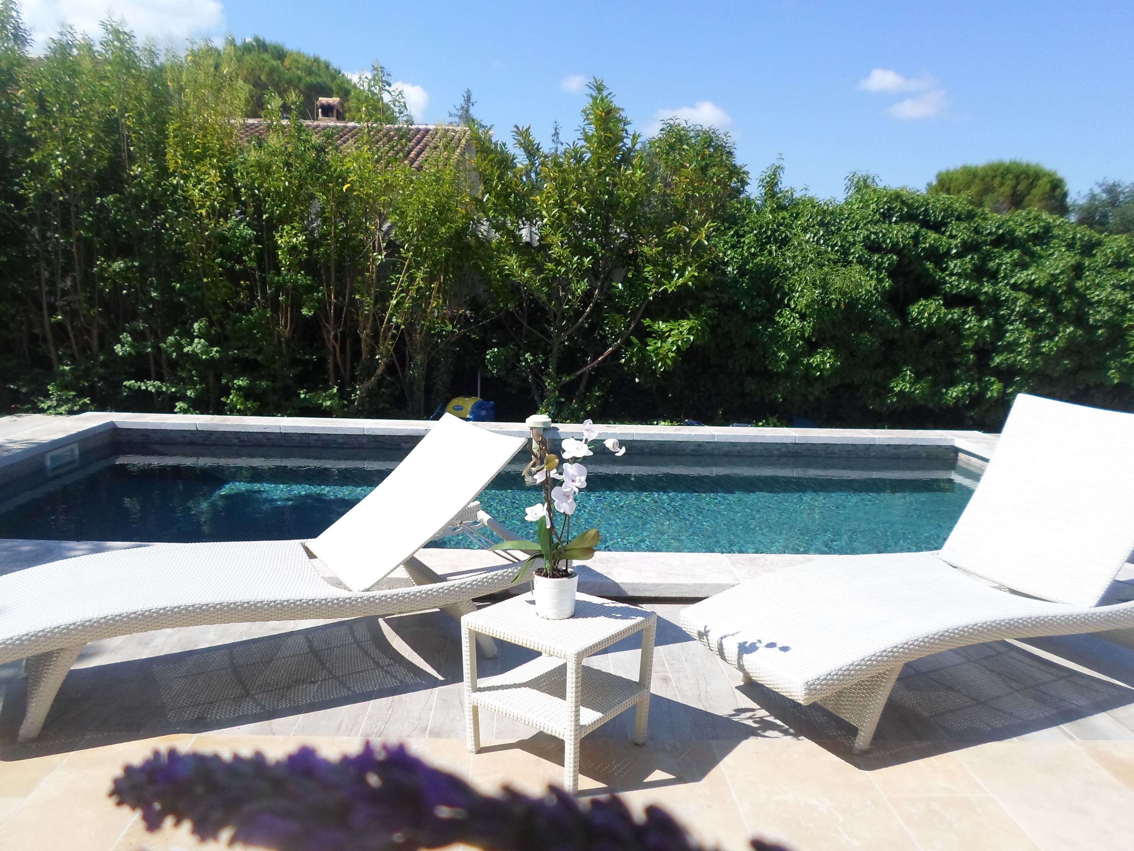 A pool area with two white lounge chairs, a small table with a potted plant, and a view of a lush green landscape.