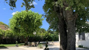 Terras