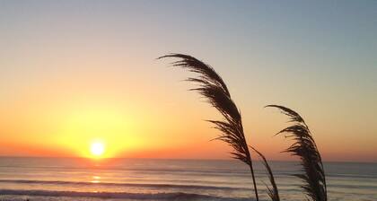 BEAUTIFUL APARTMENT T3, NICE SEA VIEW, ESPACE PIETONNIER NEAR ALL COMMODITIES