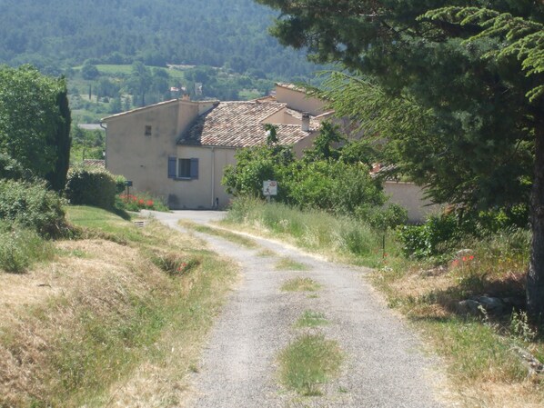 A rural road leading to a house with a tiled roof, surrounded by greenery and trees.