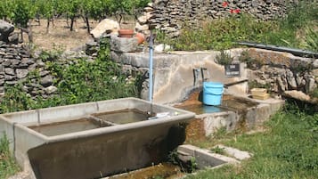 施設の敷地