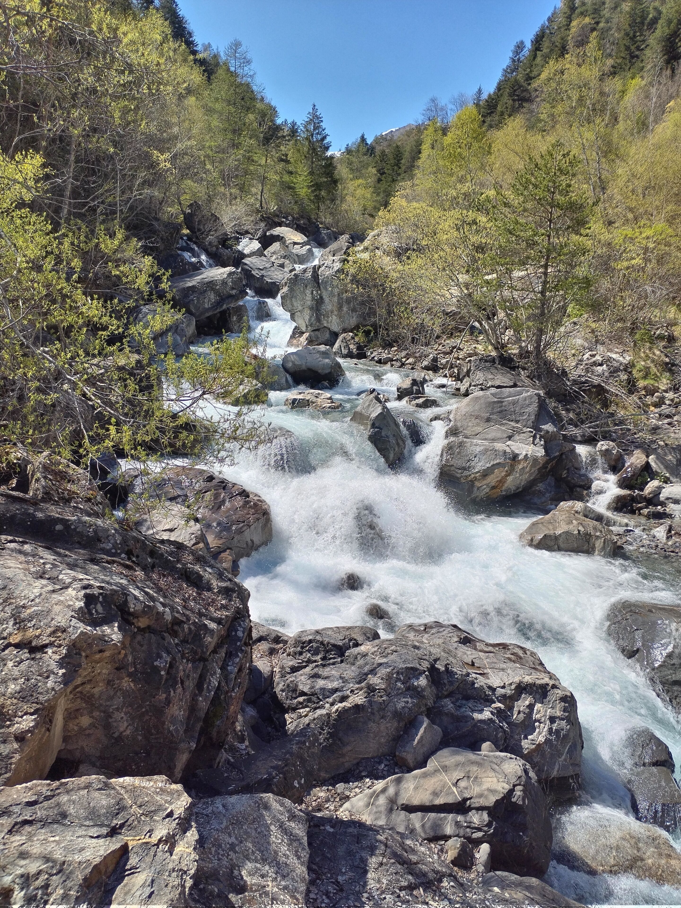 Une rivière aux eaux claires qui serpente entre les rochers, bordée d’arbres et dominée par un paysage montagneux.