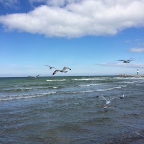 Plage à proximité
