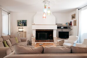 Televisión, chimenea y libros 