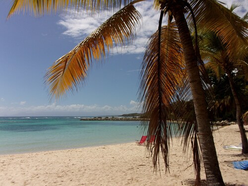 STUDIO BY THE SEA IN SAINT FRANCOIS, ANSE DES ROCHERS