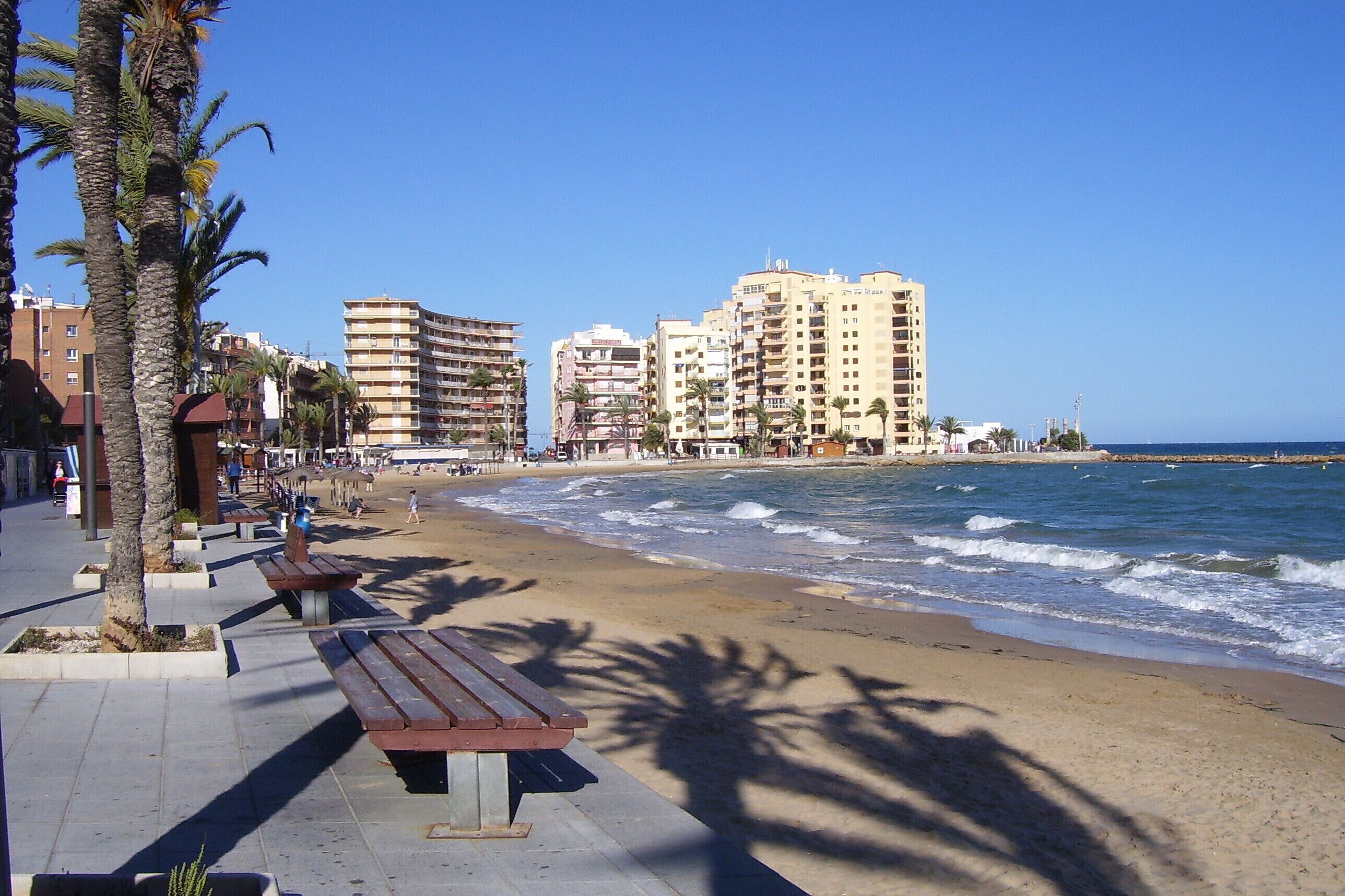 A beachside promenade with benches, palm trees, and a view of the ocean.