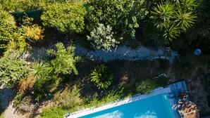 An aerial view of a swimming pool surrounded by lush greenery and a wooden deck. - SETE, listed villa 240 m2, 50 meters from the beach, 1st sea line, swimming pool (Sète)