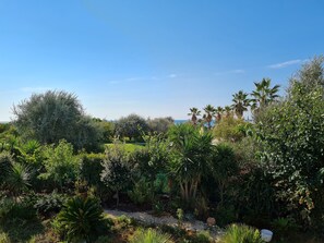 A lush garden with various plants and trees, a gravel path, and a clear blue sky. - SETE, listed villa 240 m2, 50 meters from the beach, 1st sea line, swimming pool (Sète)