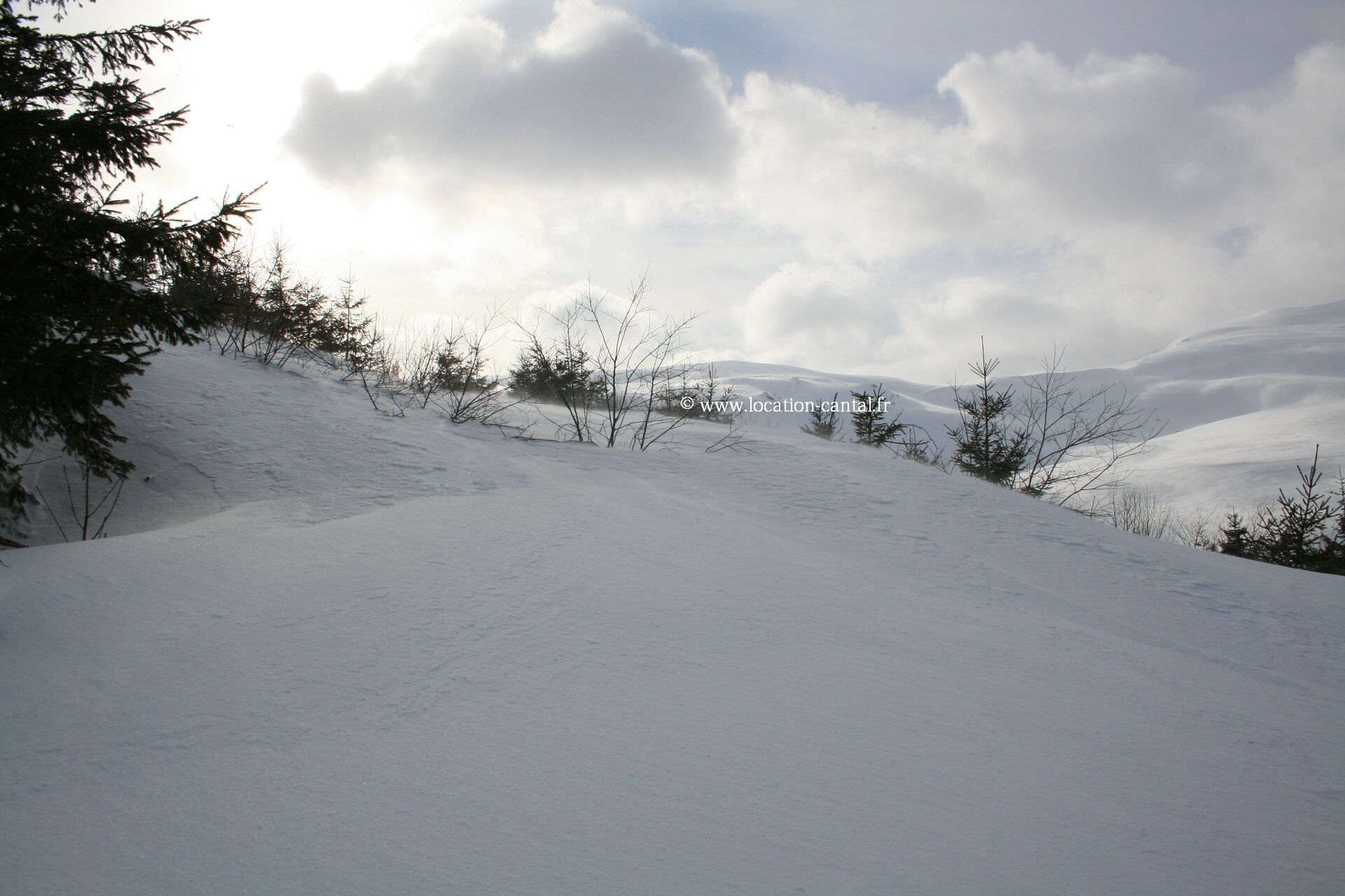 A snow-covered landscape with trees and a cloudy sky.