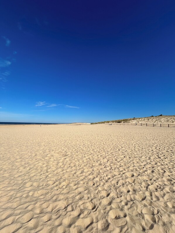 Beach nearby - Seaside and woodland vacations near San Sebastian, Capital of Culture 2016 (Moliets-Et-Maa)