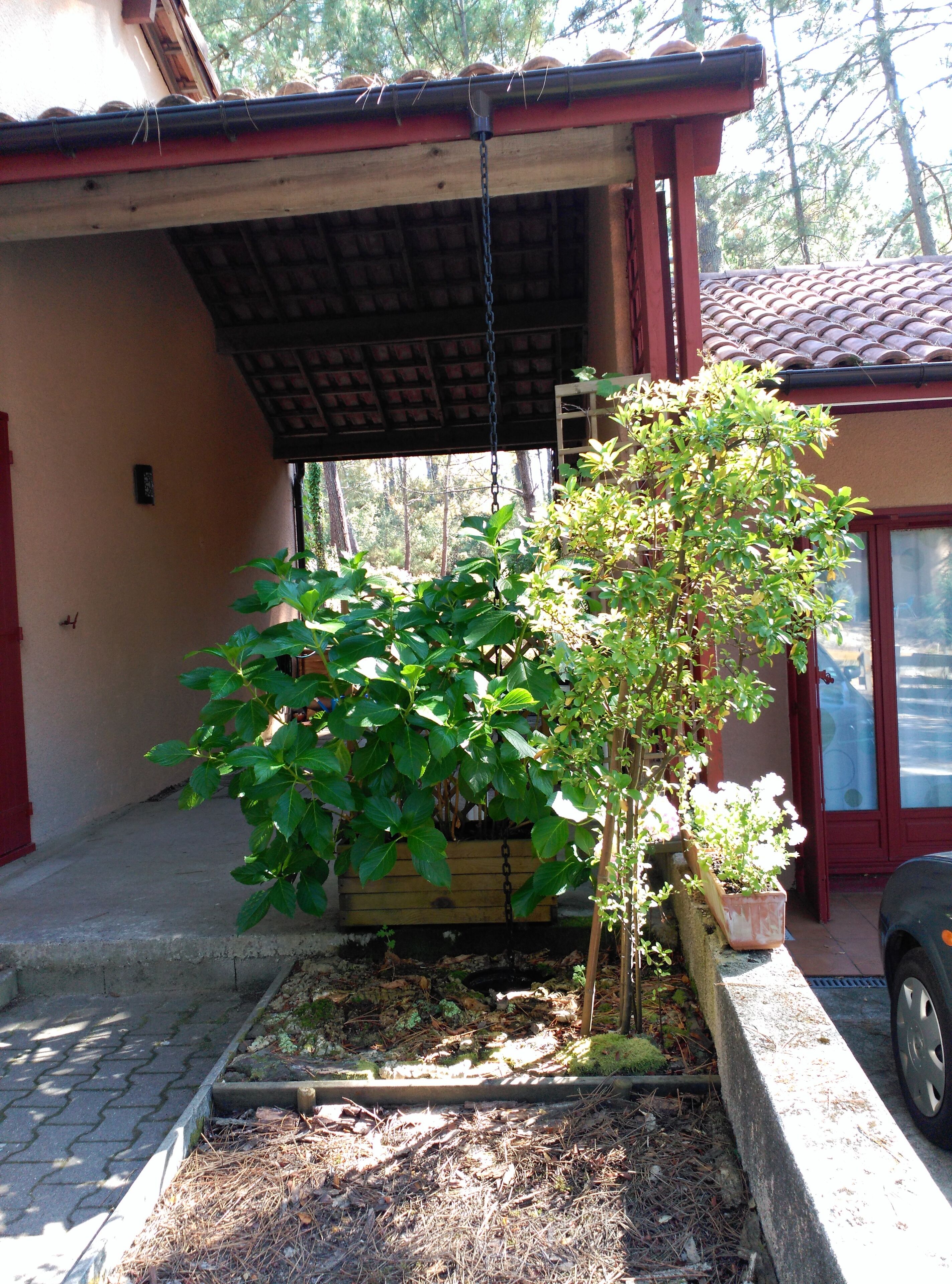 A covered outdoor area with a wooden bench, a hanging plant, and a small garden bed with mulch and plants.