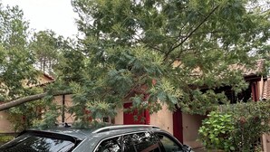 A silver car parked in a driveway with a house in the background.