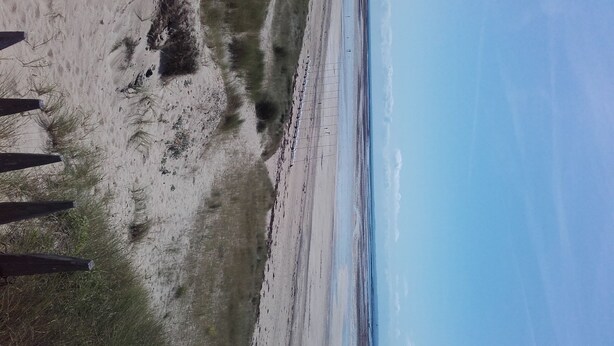 Une plage avec un sentier de sable et des poteaux en bois.