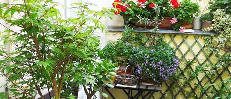 المنطقة المحيطة بالمنشأة