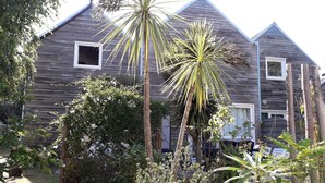 Una casa de madera con techo triangular, rodeada de plantas y árboles.