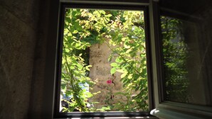 Una ventana con vista a un muro de ladrillo y vegetación.