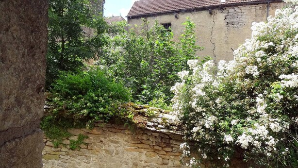 Un muro de piedra con un pequeño arroyo, rodeado de exuberante follaje y arbustos con flores blancas.