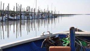 A marina with boats docked and a calm water surface reflecting the boats.