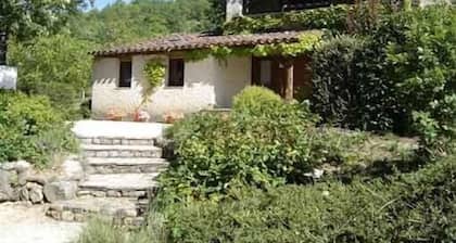 Very nice house, shade and sun, small pool.