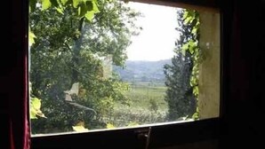 Ein Fenster mit Blick auf eine grüne Landschaft, darunter Bäume und eine entfernte Hügelkette.