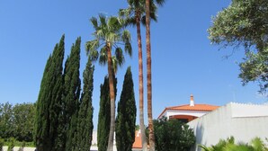 Un patio con altas palmeras, un edificio blanco de techo rojo y un cielo azul despejado.