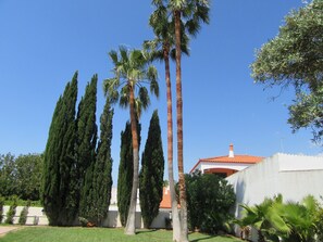 Áreas de la propiedad