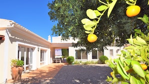 Un patio con suelo de adoquines, un edificio de paredes blancas y techo de tejas, y un árbol con naranjas.