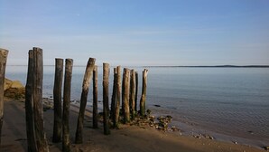 A beach with wooden posts and a calm sea.