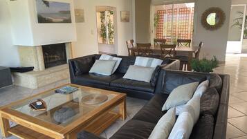 TV, fireplace, books
