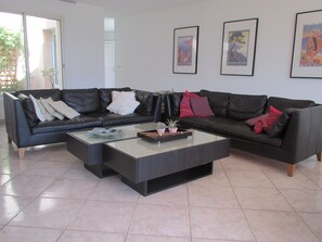 TV, fireplace, books