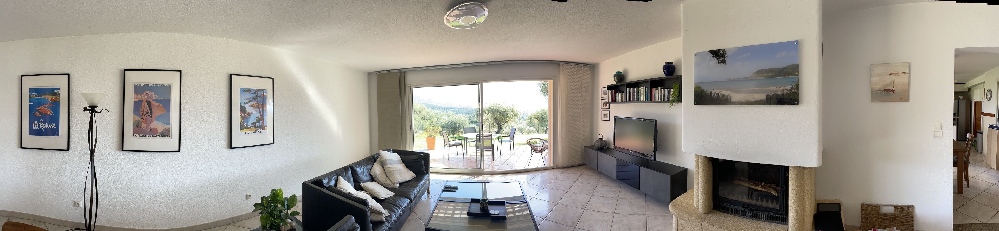 電視、壁爐、書籍