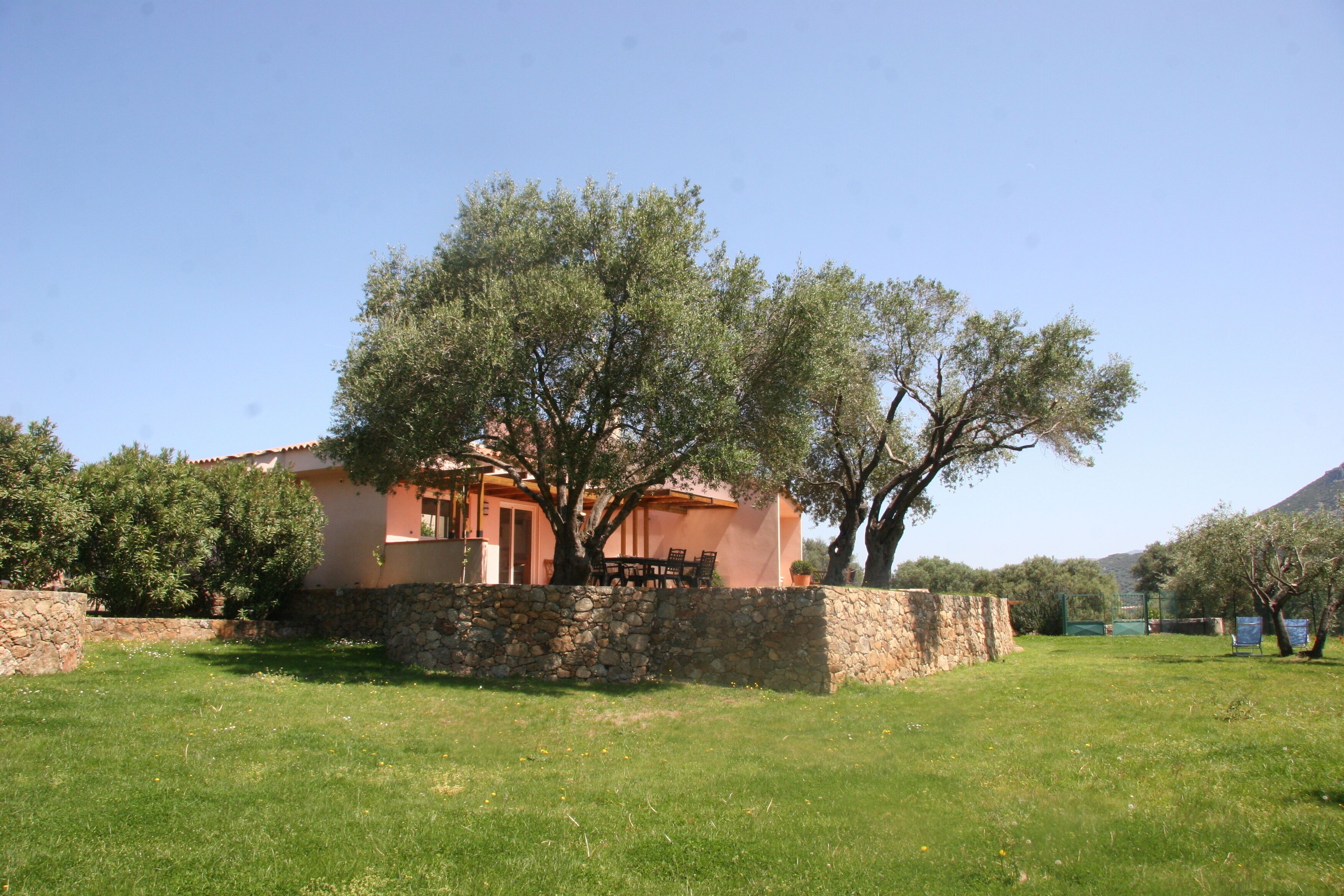 A house with a stone wall, a lawn, and trees.