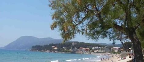 在海灘附近