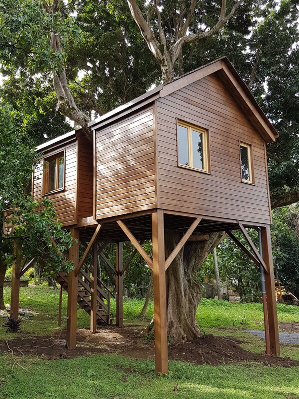 A wooden treehouse with a simple, open design, featuring two levels and a small window on the upper level. - Tree house in a litchi (sainte suzanne)