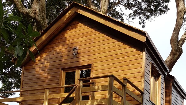 Une cabane en bois perchée dans un arbre, avec un escalier en bois et une petite fenêtre.